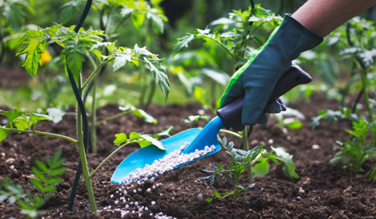 A Full Guide To Organic Agriculture Fertilizers