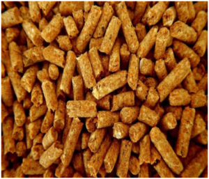 Know About Animal Feed Additives | Feed Additives Supplier